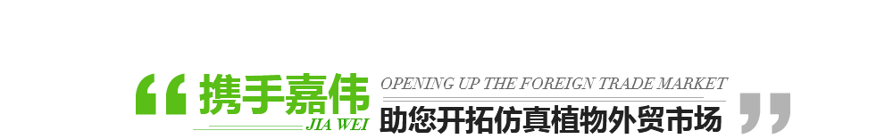 我們的優(yōu)勢